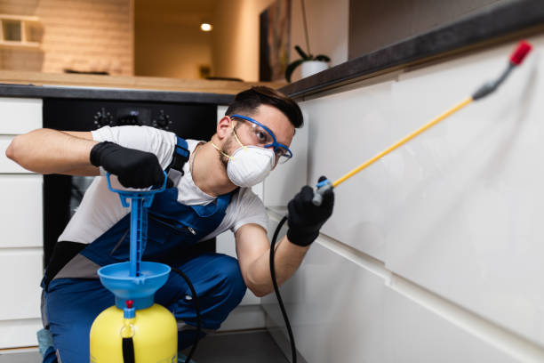 Best Rat Extermination Near Me  in Raymond, IL