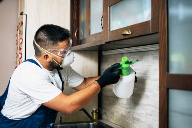 Best Best Pest Control Companies  in Raymond, IL