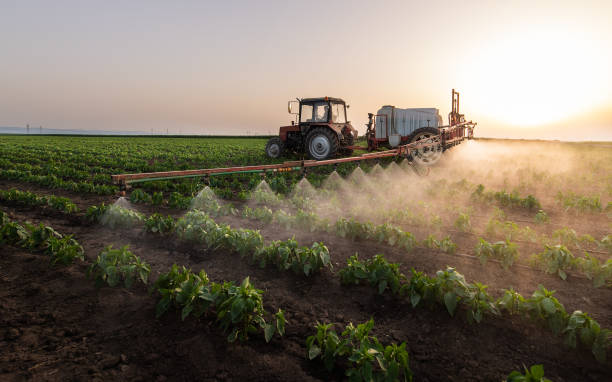 Best Pest Control Treatment  in Raymond, IL