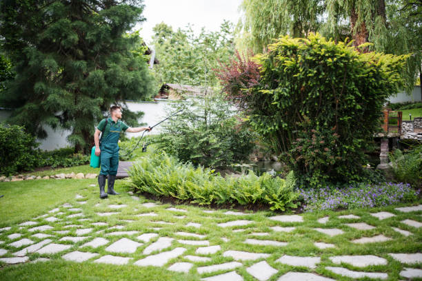 Best Mosquito Control Services  in Raymond, IL
