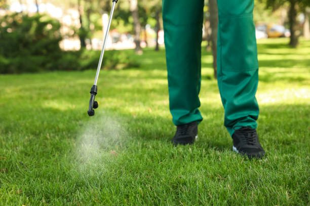 Reliable Raymond, IL Pest Control Solutions