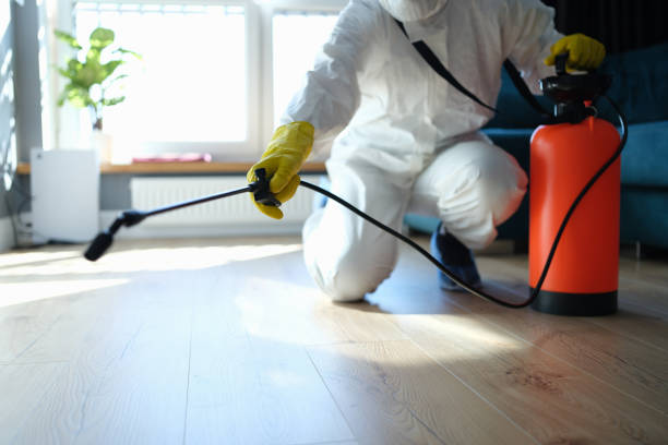 Trusted Raymond, IL Pest Control Experts