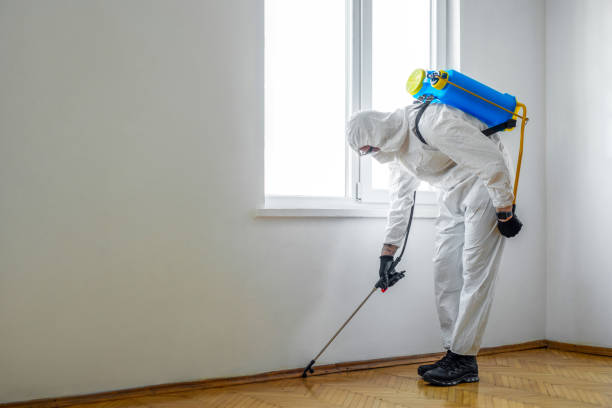Best Pest Control for Businesses  in Raymond, IL