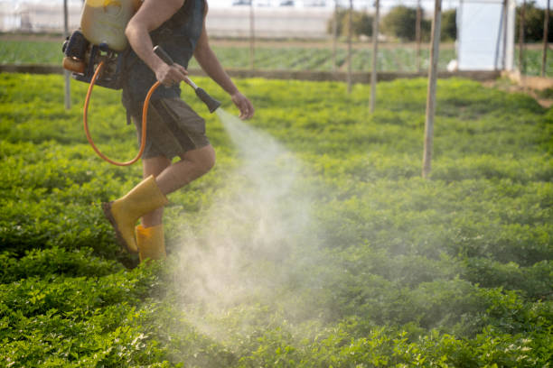 Best Emergency Pest Control  in Raymond, IL