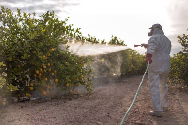 Best Pest Control Near Me  in Raymond, IL