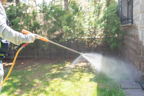 Best Affordable Exterminators  in Raymond, IL