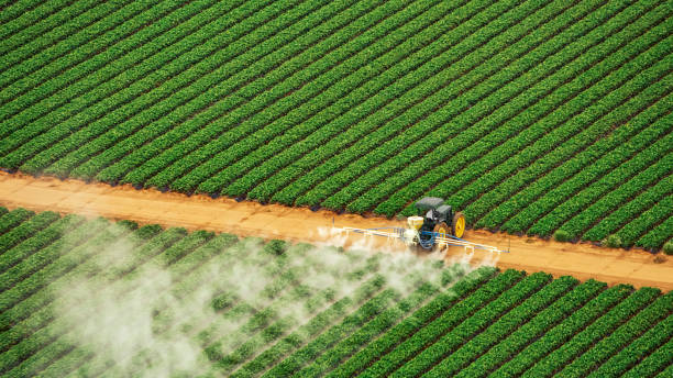 Best Pest Control Cost  in Raymond, IL