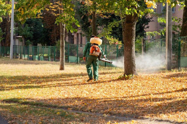 Best Local Pest Control Services  in Raymond, IL