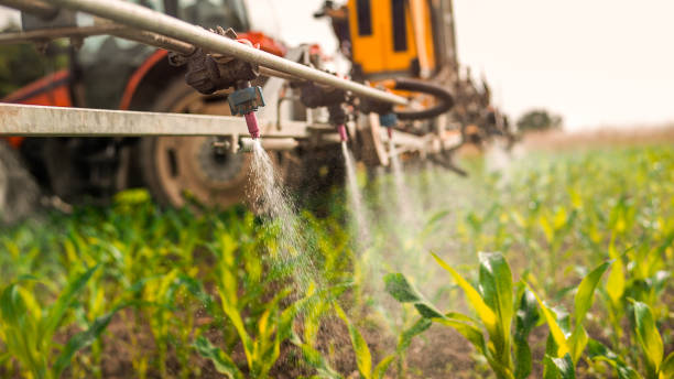 Best Ant Control Services  in Raymond, IL